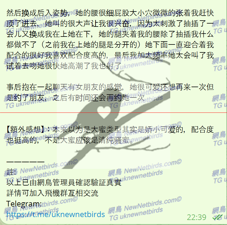 戰號 313 3.png